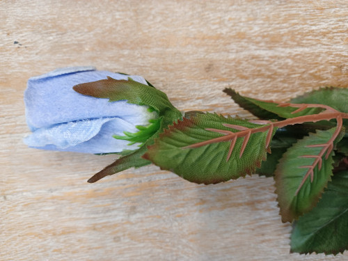 Velvet Rosebud  Blue