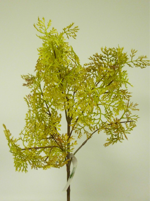 Celery Cluster Yellow