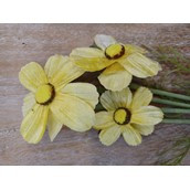 Velvet Cosmos Spray Yellow