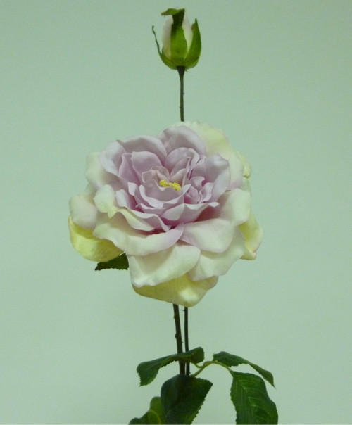 66cm Rose x2 Pink