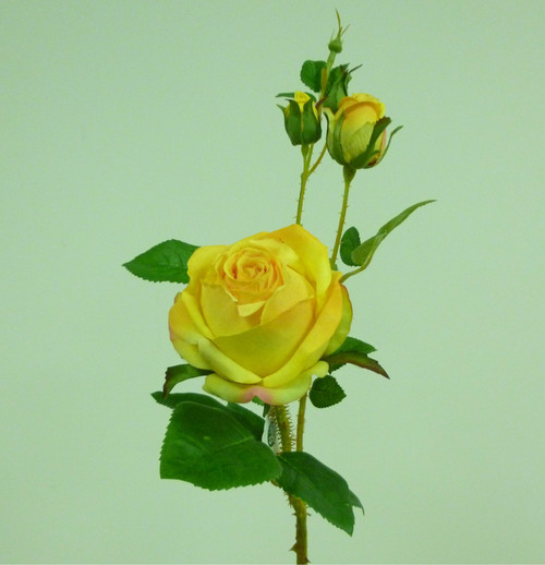 55cm Rose Spray Dk Yellow
