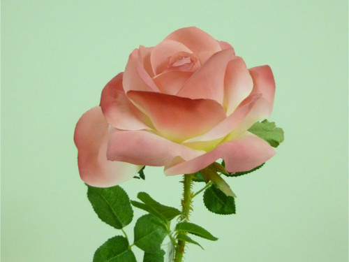 54cm Single Rose Pink