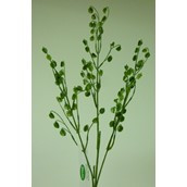 Mini Lantern Spray Green