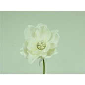 28cm Magnolia w/Gem Cream