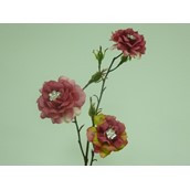63cm Mini Wild Rose Hot Pink
