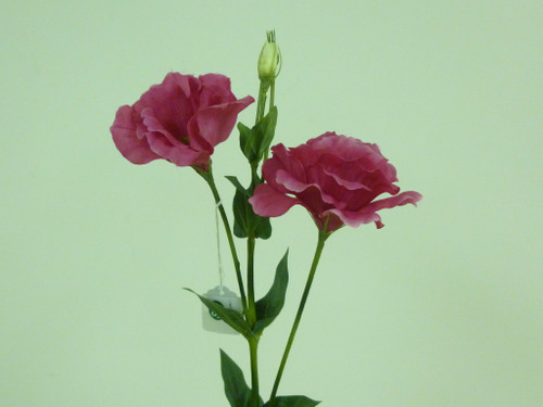24" Eustoma Spray Hot Pink