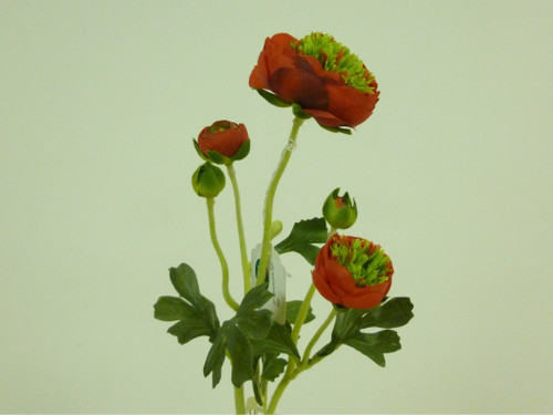 20" Ranunculus Spray Red