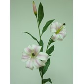 85cm Lily x3 Lt Pink