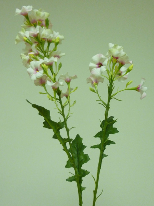76cm Phlox Spray Pink