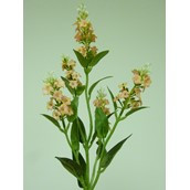 60cm Lavender Spray Peach