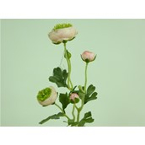 20" Ranunculus Spray Pink