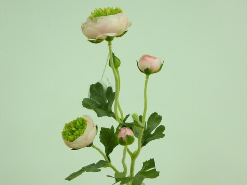 20" Ranunculus Spray Pink