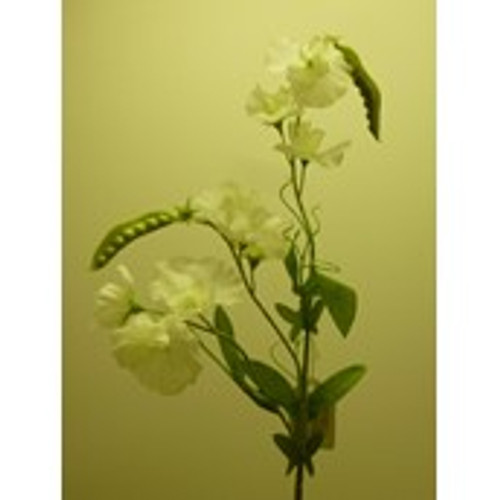 70cm Sweet Pea Spray Cream