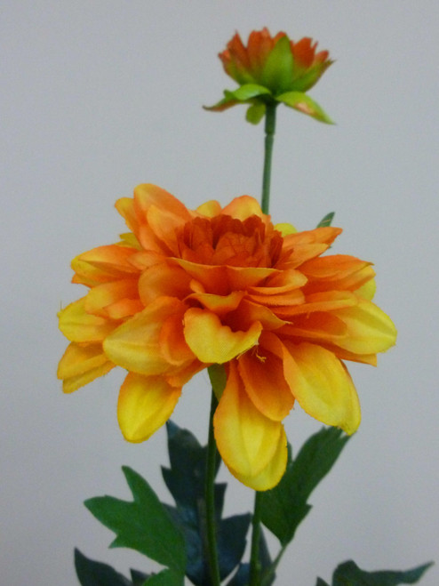 61cm Single Dahlia Orange