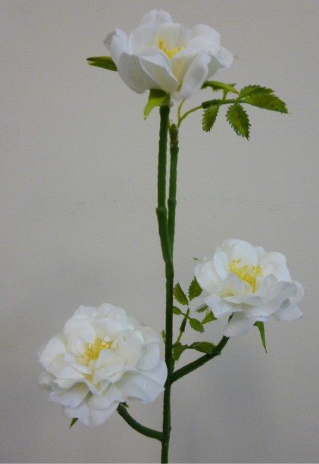 53cm Wild Rose Spray Cream