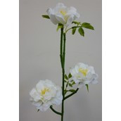 53cm Wild Rose Spray Cream