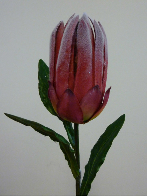51cm Protea Spray Burgundy