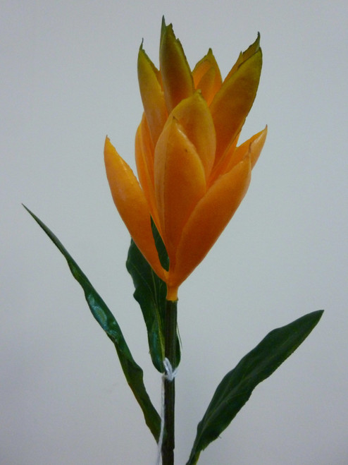 51cm Ginger Spray Orange