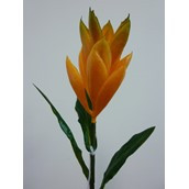 51cm Ginger Spray Orange