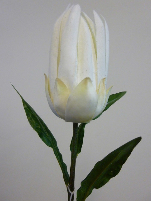 51cm Protea Spray Cream
