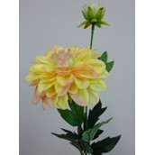 61cm Single Dahlia Peach