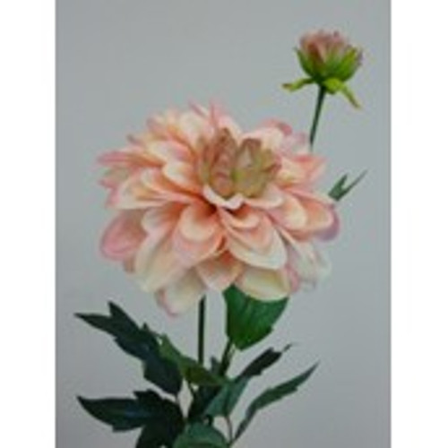 61cm Single Dahlia Pink