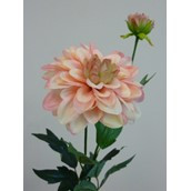 61cm Single Dahlia Pink