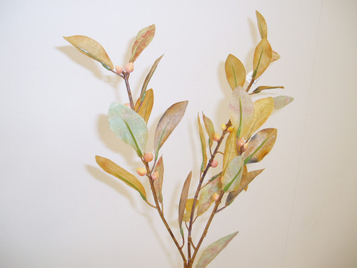 Berry Spray Brown Mustard