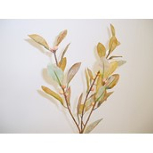 Berry Spray Brown Mustard