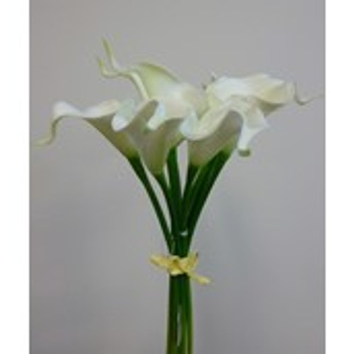 40cm Cala Lily Bundle Cream