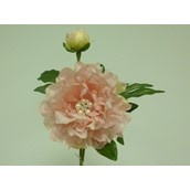 48cm Peony x2 w/Gem Pink