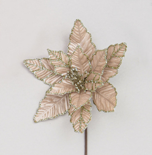 50cm Velvet Poinsettia Champagne