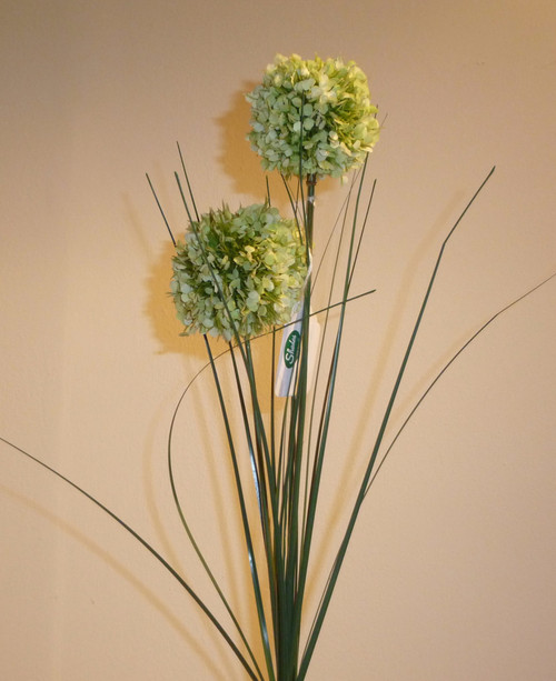 68cm Allium x2 Green