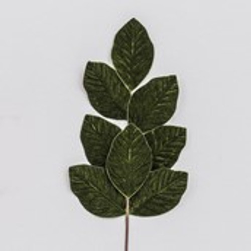 70cm Velvet Leaf Spray Green