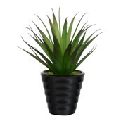 16cm Succulent Black Pot