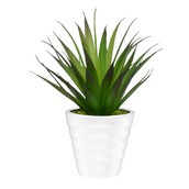 16cm Succulent White Pot