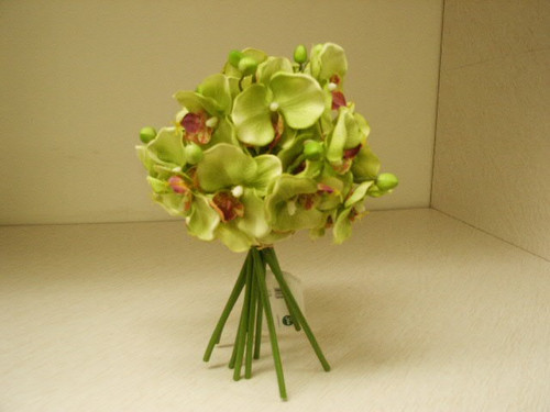 Orchid Bundle Lt Green