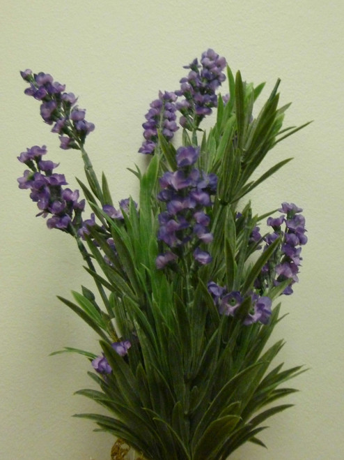 Lavender Bush x12 Purple