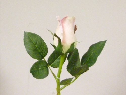 15" Brilliant Rosebud Lt Pink