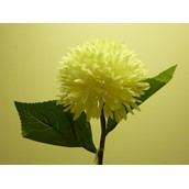 42cm Mum Spray Cream