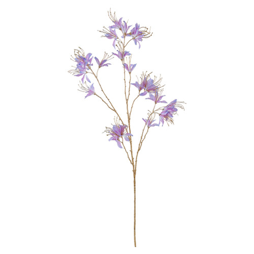 Monarda Flower Purple 115cm
