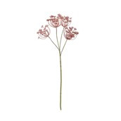Anethum Spray Russet 81cm