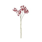 Anethum Spray Dark Red 81cm