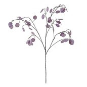 Silver Dollar Spray Pink 110cm