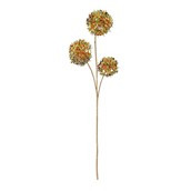 Iridescent Cassia Fistula Russet And Green 98cm