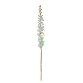 Iridescent Delphinium Gold 135cm