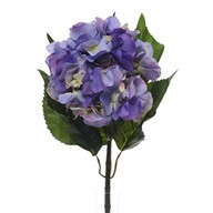 Hydrangea Extra Lge Lavender