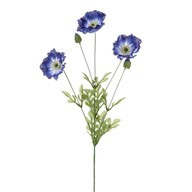 Poppy 3Heads 2Buds Blue
