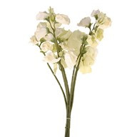Sweet Pea Bunch Cream 42Cm