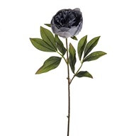 Amelia Peony Stem Light Grey 63Cm